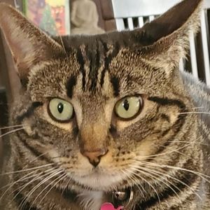 Meet your Posher, Mya